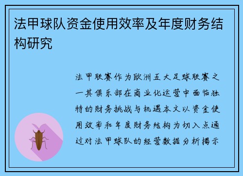 法甲球队资金使用效率及年度财务结构研究