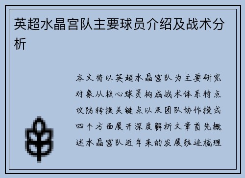 英超水晶宫队主要球员介绍及战术分析